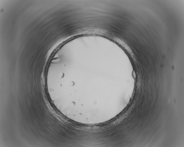 X0000085080936200704021433