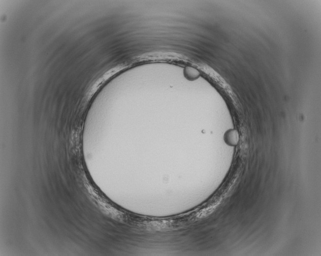 X0000085080937200704021433