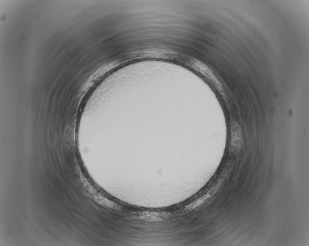 X0000085080938200704021433