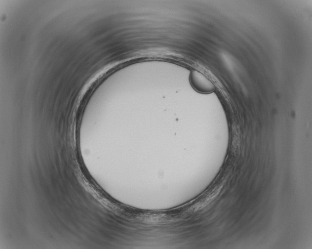 X0000085080939200704021433