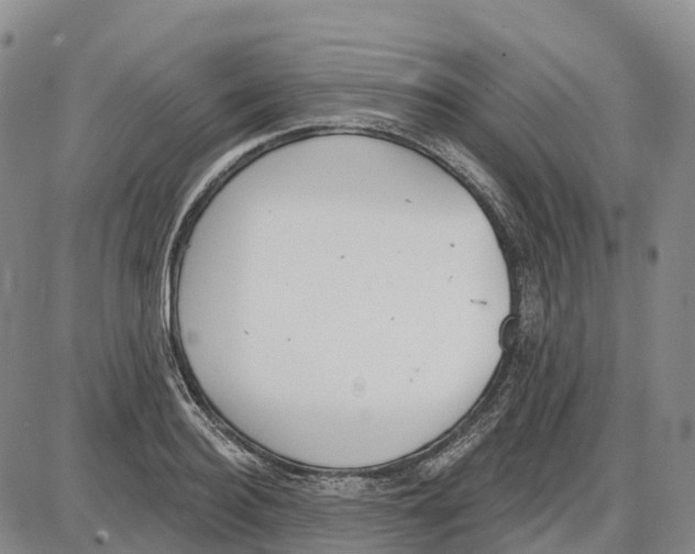 X0000085080940200704021433