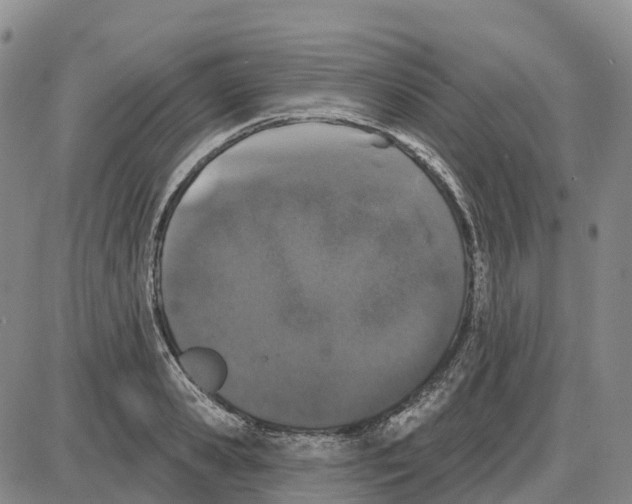 X0000085080941200704021433