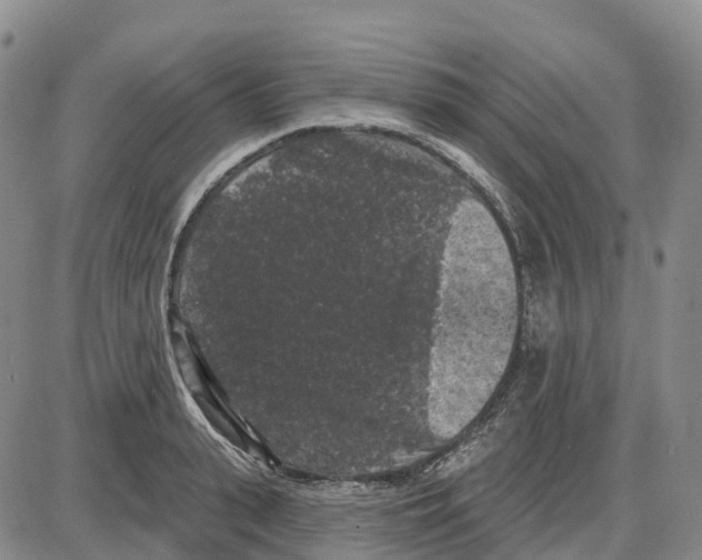 X0000085080943200704021433