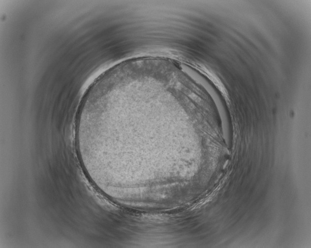 X0000085080944200704021433