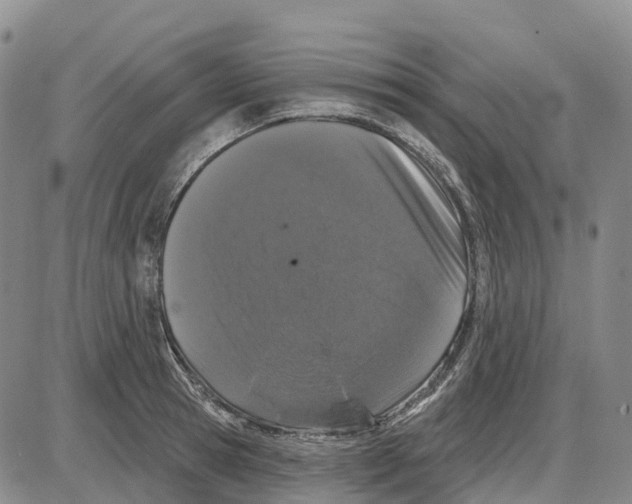 X0000085080945200704021433