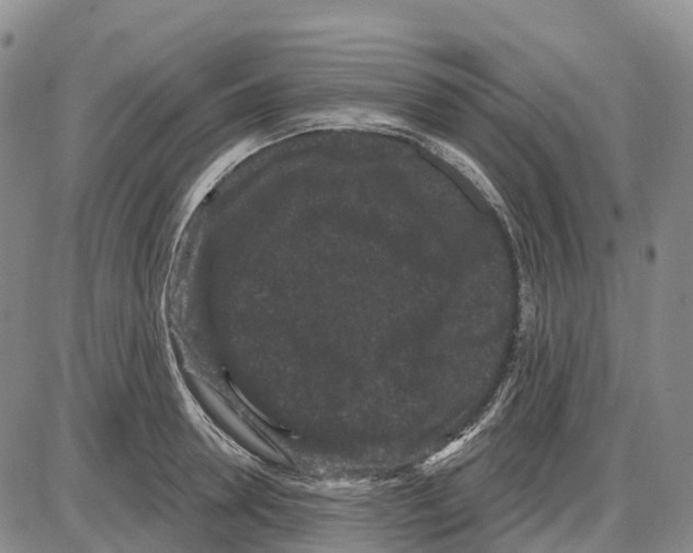 X0000085080946200704021433