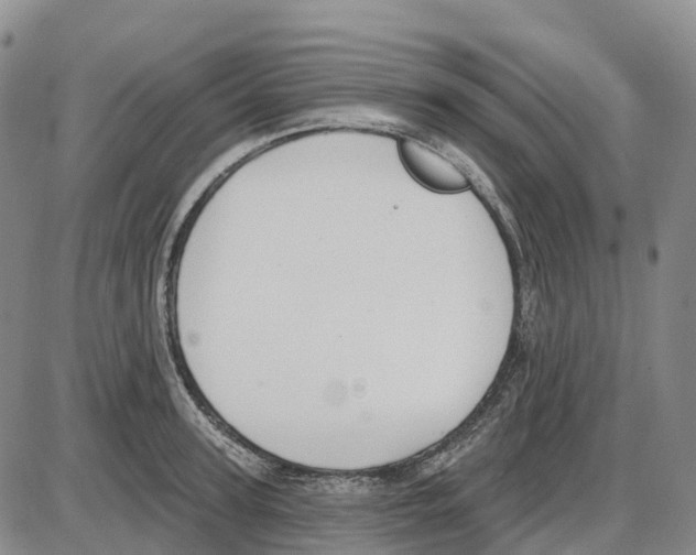 X0000085080947200704021433