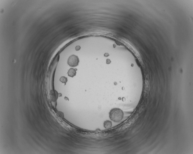 X0000085080948200704021433