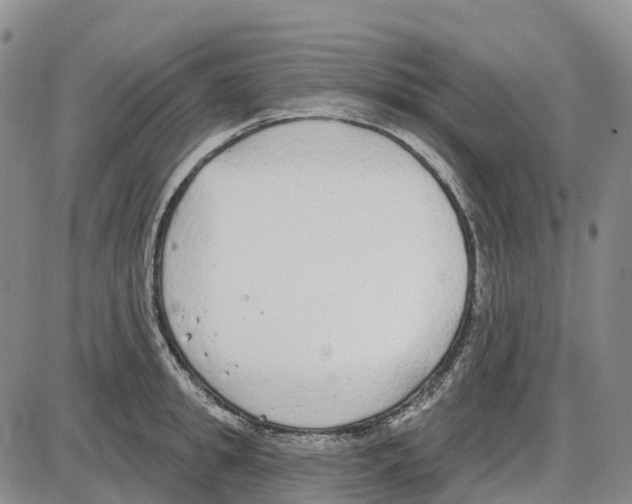 X0000085080949200704021433