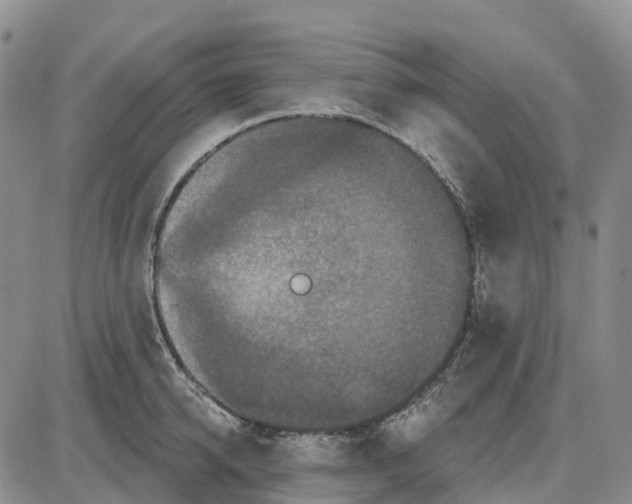 X0000085080950200704021433