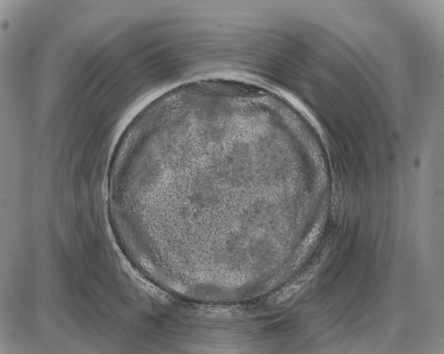 X0000085080951200704021433