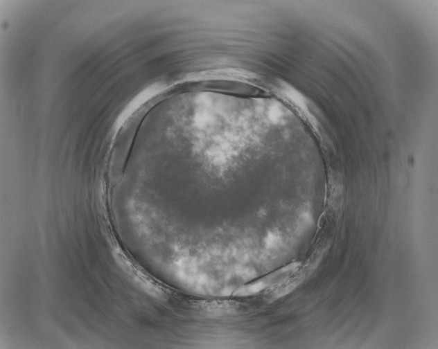 X0000085080952200704021433