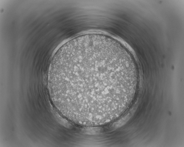 X0000085080953200704021433