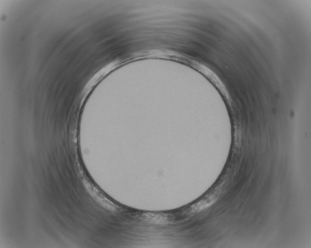 X0000085080954200704021433