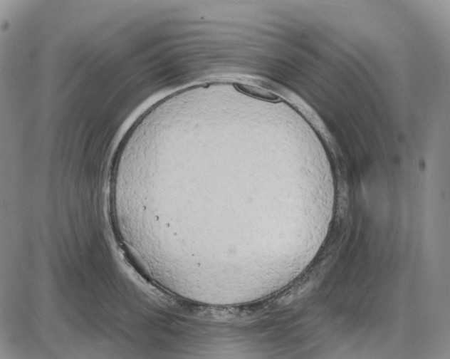 X0000085080955200704021433