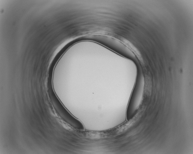 X0000085080956200704021433