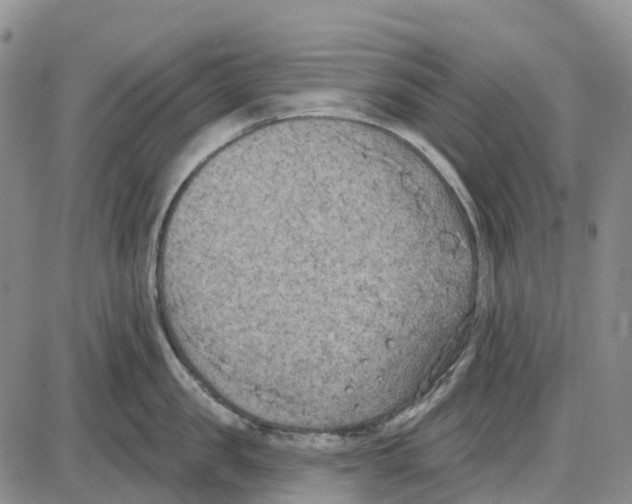 X0000085080957200704021433