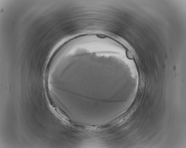 X0000085080958200704021433