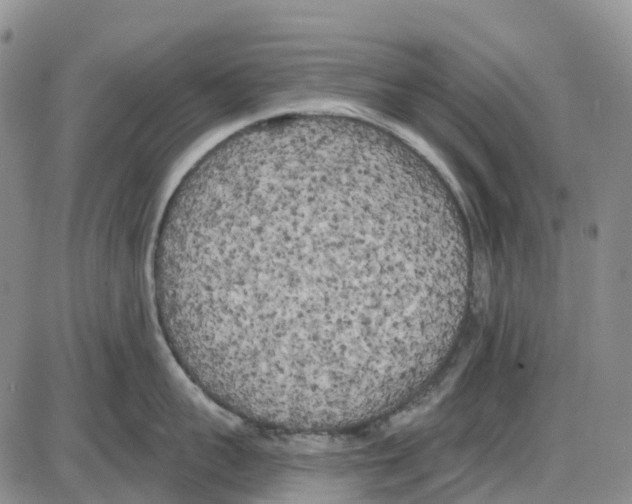 X0000085080959200704021433