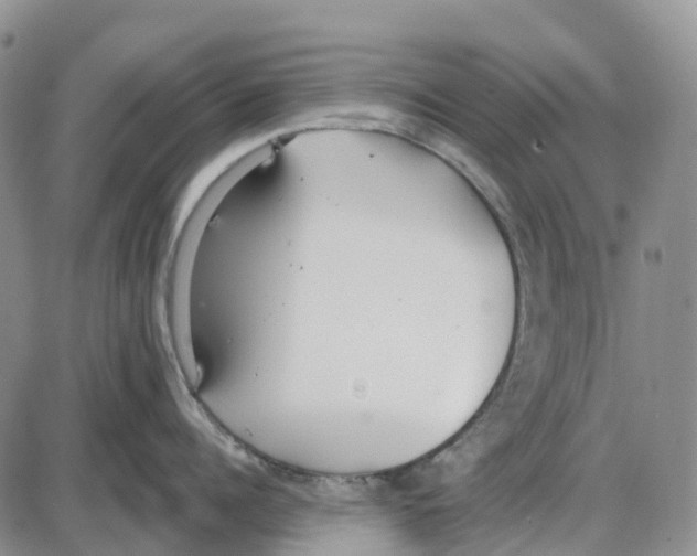 X0000085080960200704021433