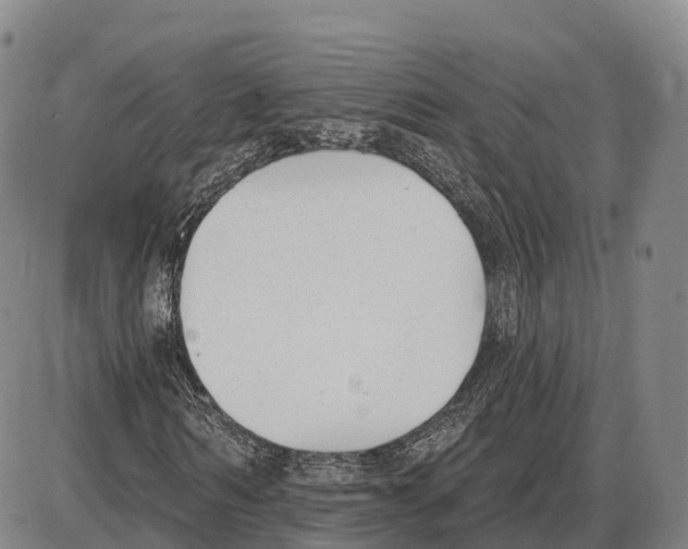 X0000085080962200704021432