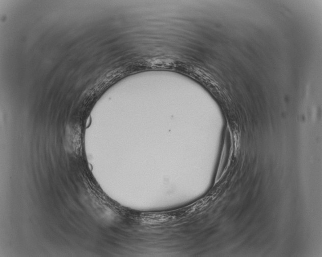 X0000085080963200704021432