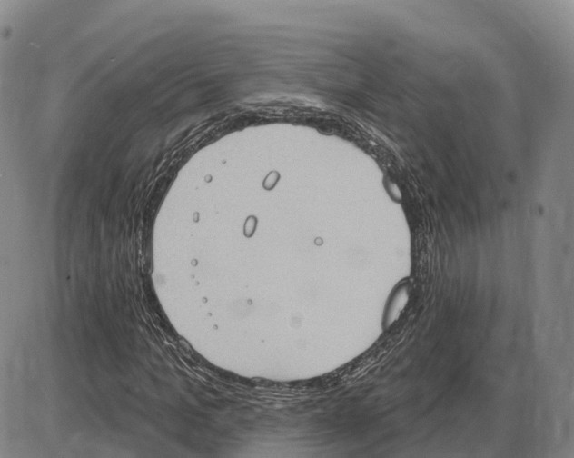 X0000085080965200704021432