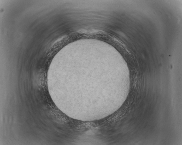 X0000085080966200704021432