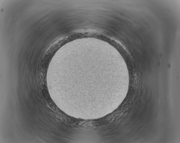 X0000085080967200704021432