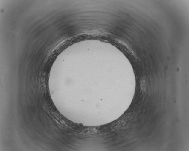 X0000085080968200704021432