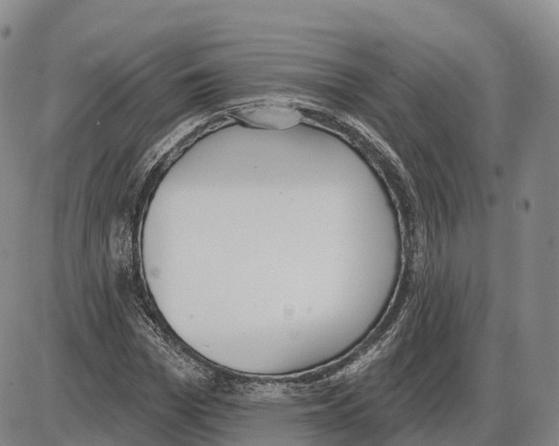 X0000085080969200704021432