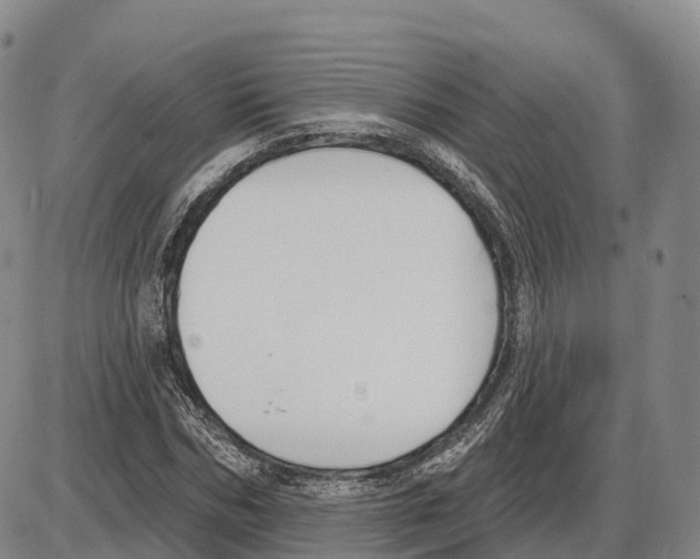 X0000085080970200704021432