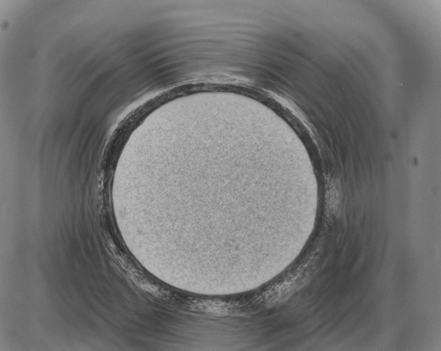 X0000085080971200704021432