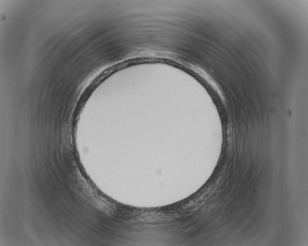 X0000085080972200704021432