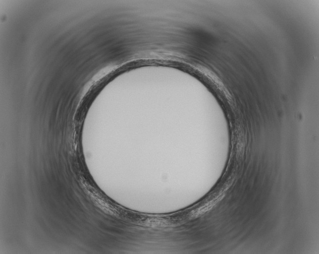 X0000085080974200704021432