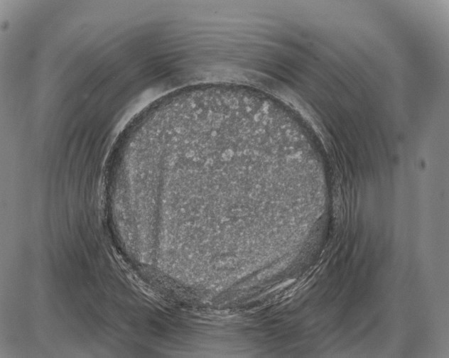 X0000085080975200704021432