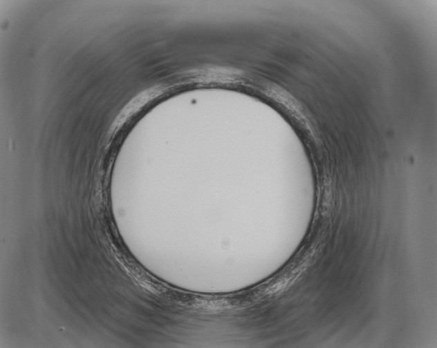 X0000085080978200704021432