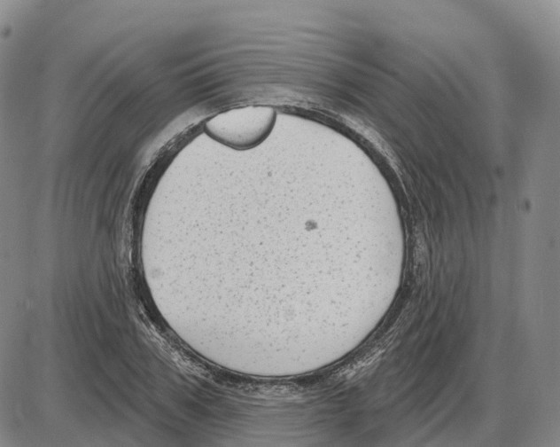 X0000085080979200704021432