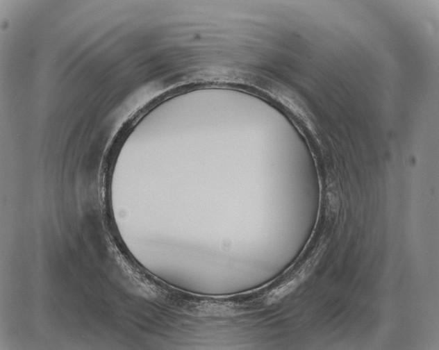 X0000085080981200704021432