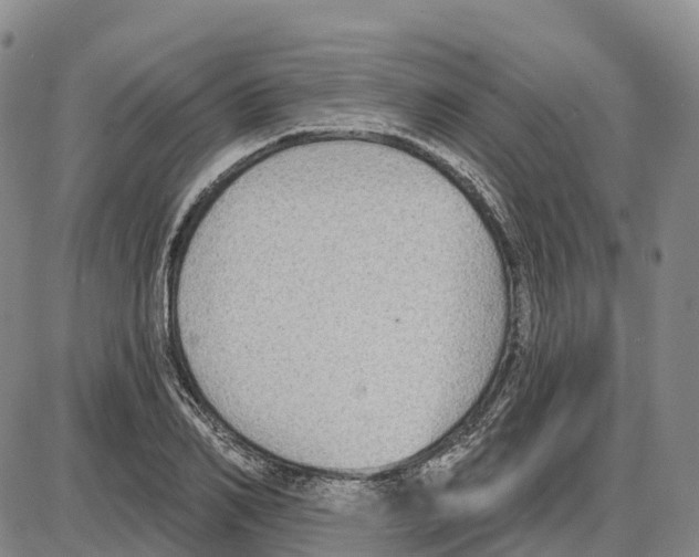 X0000085080982200704021432