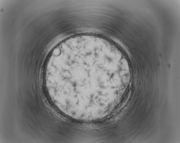 X0000085080983200704021432