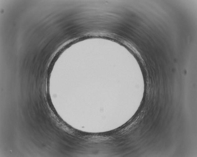 X0000085080984200704021432