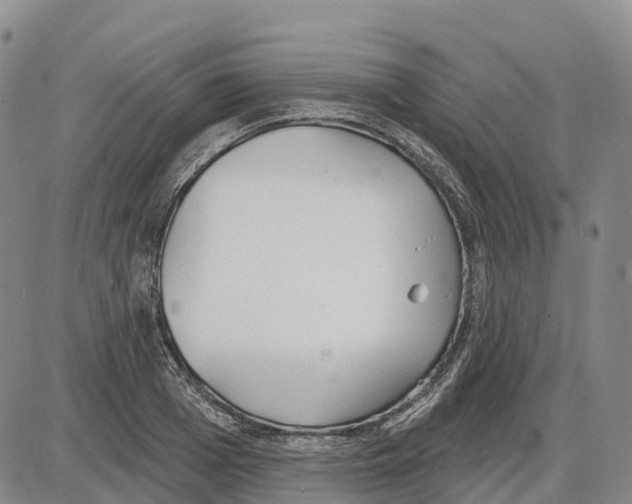 X0000085080985200704021432