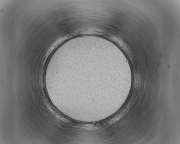 X0000085080986200704021432