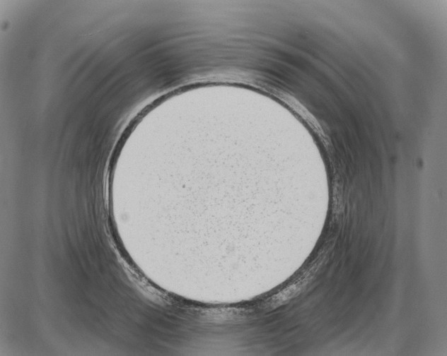 X0000085080988200704021432