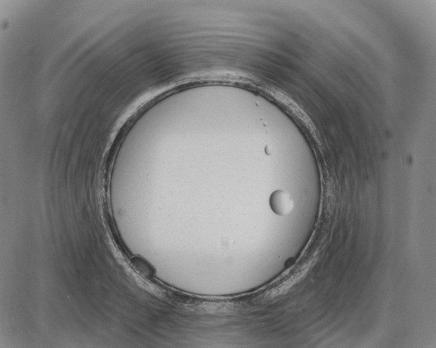 X0000085080989200704021432