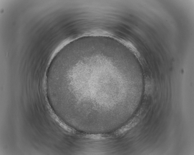 X0000085080990200704021432