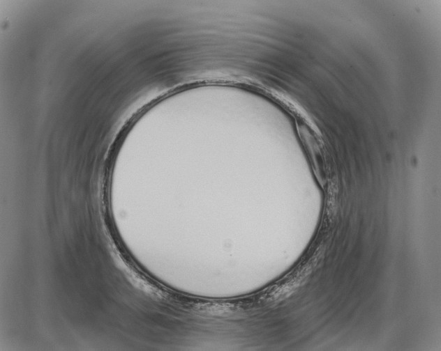 X0000085080991200704021432