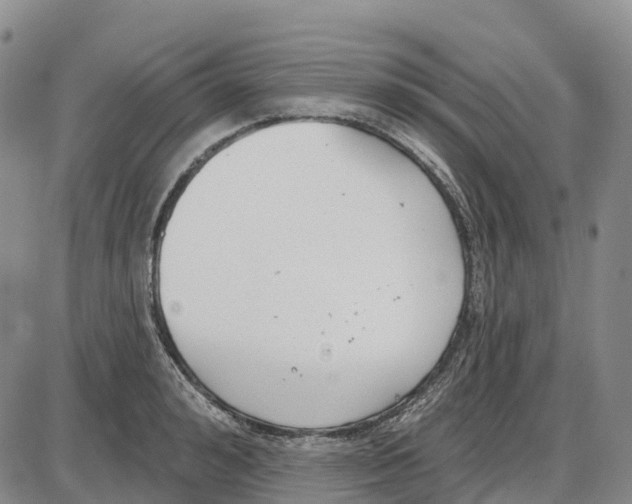 X0000085080992200704021432