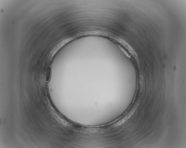 X0000085080993200704021432